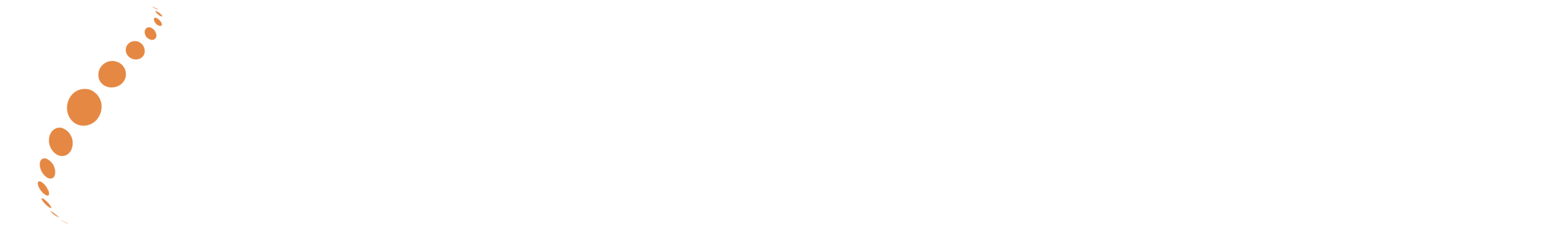 Light logo