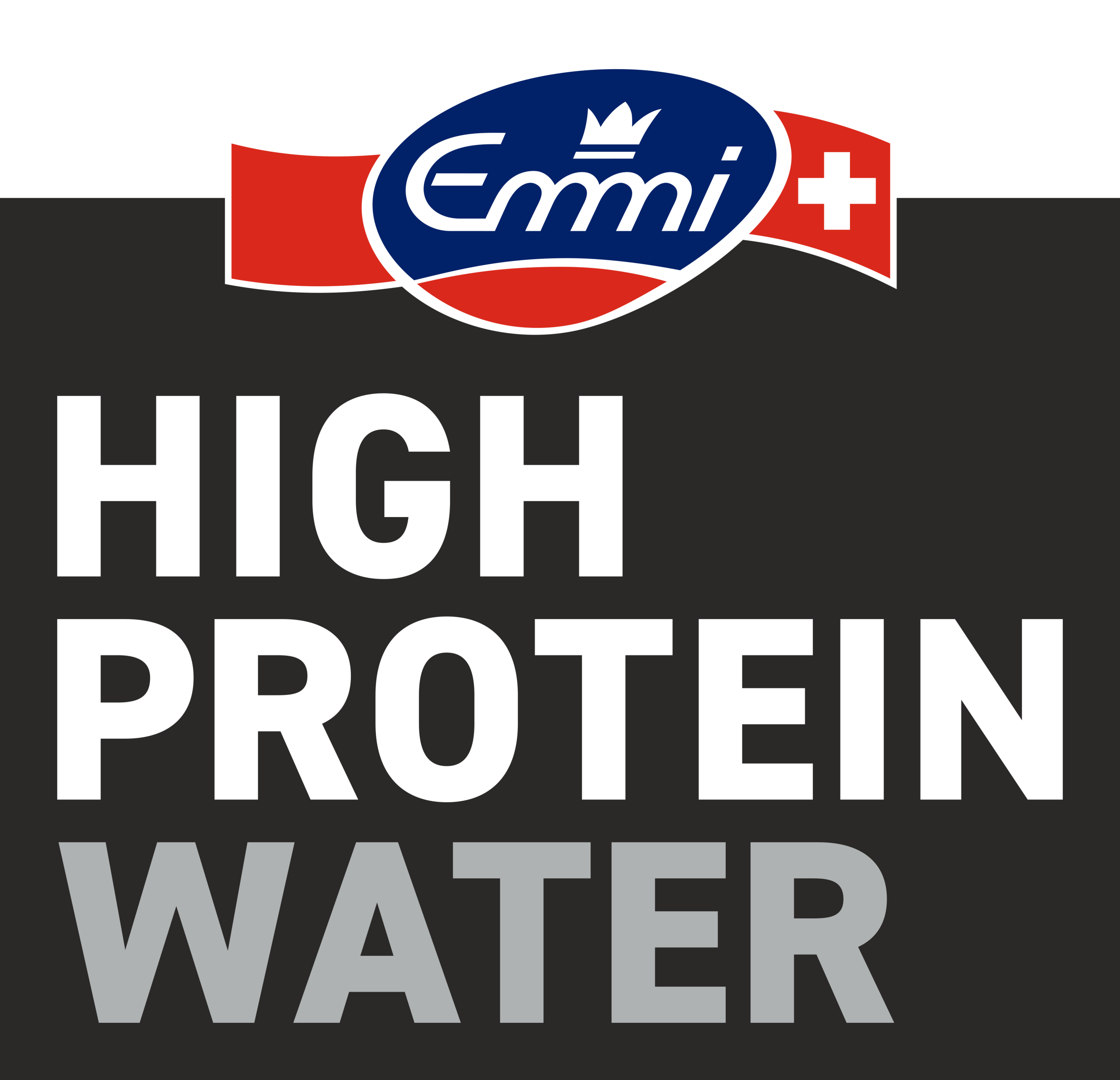 Placeholder partner logo
