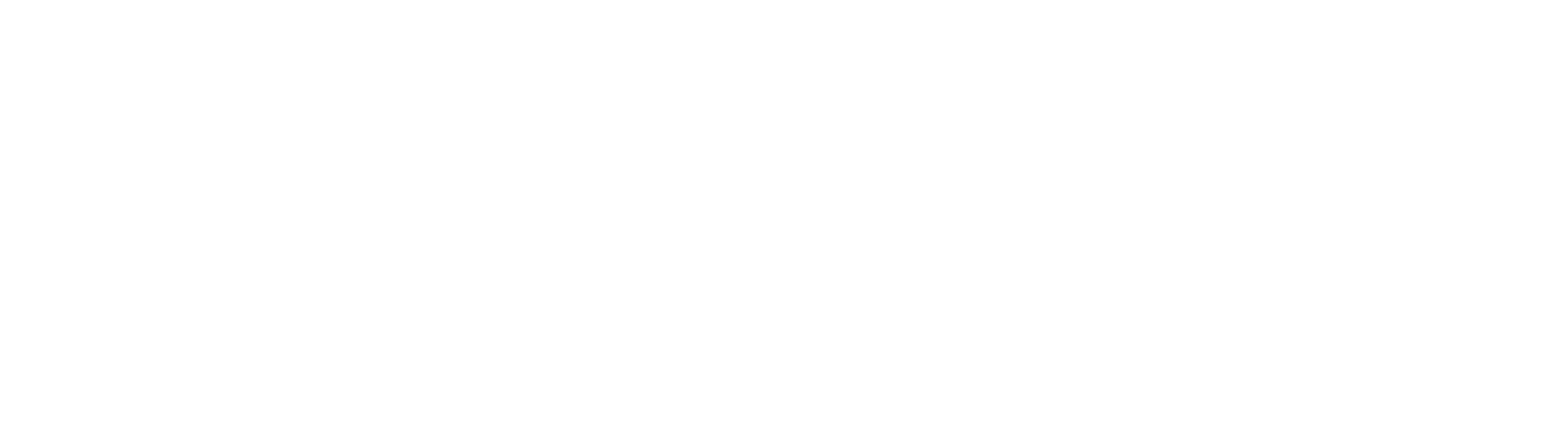 Dark logo